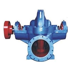 Double Suction Pumps range representative pump